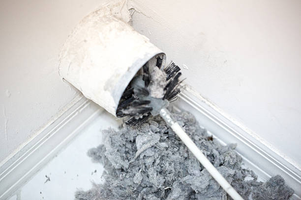 Best Air Duct Cleaning Near Me  in Greenville, FL